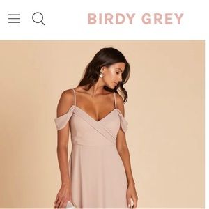 Birdy Grey taupe bridesmaids dress. Wore once!